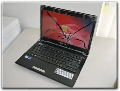 Замена матрицы Packard Bell в Орле